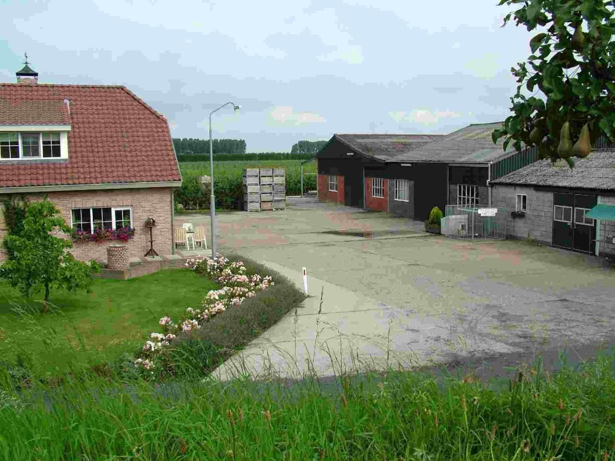 Chalet Elstar Hengstdijk Eksteriør billede